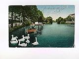  Stettin, Szczecin, Westendsee, Schwäne, Ruderboot, Polen, AK, gelaufen 1914
