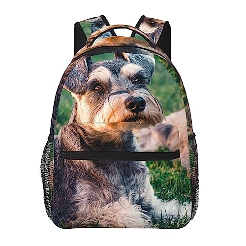 Sac à dos pour ordinateur portable BAFAFA noir imprimé chien schnauzer pour voyage et randonnée