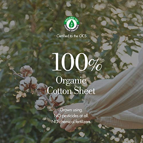 Lefresh Certified Organic Cotton Sanitary Pads with Wings 13\", Maxi Overnight, 32 Count (8pcs, 4 Packs) - Unscented Menstrual Feminine Pads Napkins for Women