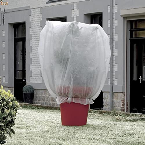 BricoLoco.com Confezione da 3 pezzi. Custodia protettiva per il gelo Piante. Tessuto di protezione invernale. Coperta in rete geotessile. Tessuto antigelo. Velo ibernazione. 1,80 MTS. x 1,25 MTS.