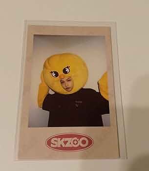 StrayKids SKZOO ポラロイド フィリックス straykids skzoo ポラロイド フィリックス セット Straykids