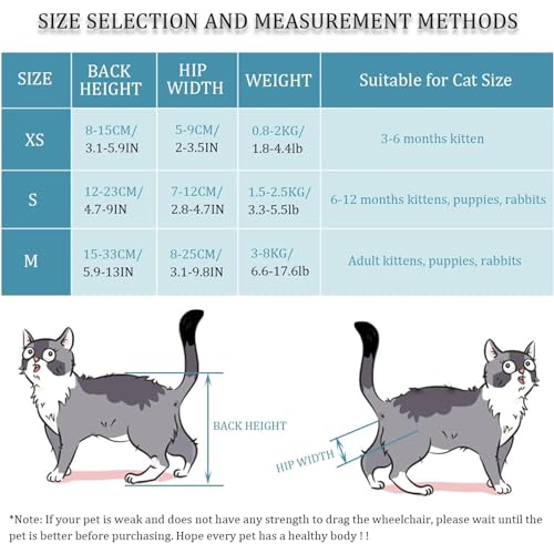 RUYICZB Katzenrollstuhl Für Hinterbeine, Verstellbarer Haustierrollstuhl, Leichter 2-Räder-Katzenrollstuhl Für Das Rehabilitationstraining Beim Gehen Mit Behinderten Hinterbeinen,S