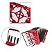 xixixif 22 Keys 8 Bass Exquisite Celluloid Piano Accordion for Adults Beginners, 22 Buttons Accordion with Adjustable Straps, Professional Musical Instruments(Red)