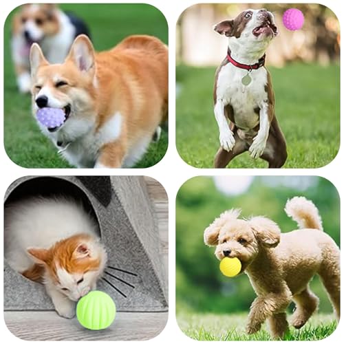 Favuit Hundeball Unzerstörbar, 6 Stück Hundespielzeug Ball Set Quietschend Dauerhaftes Jagdbälle Hunde Spielzeugbälle Schwimmfähig für Aggressive Kauer Kleine und Mittelgroße Hunde
