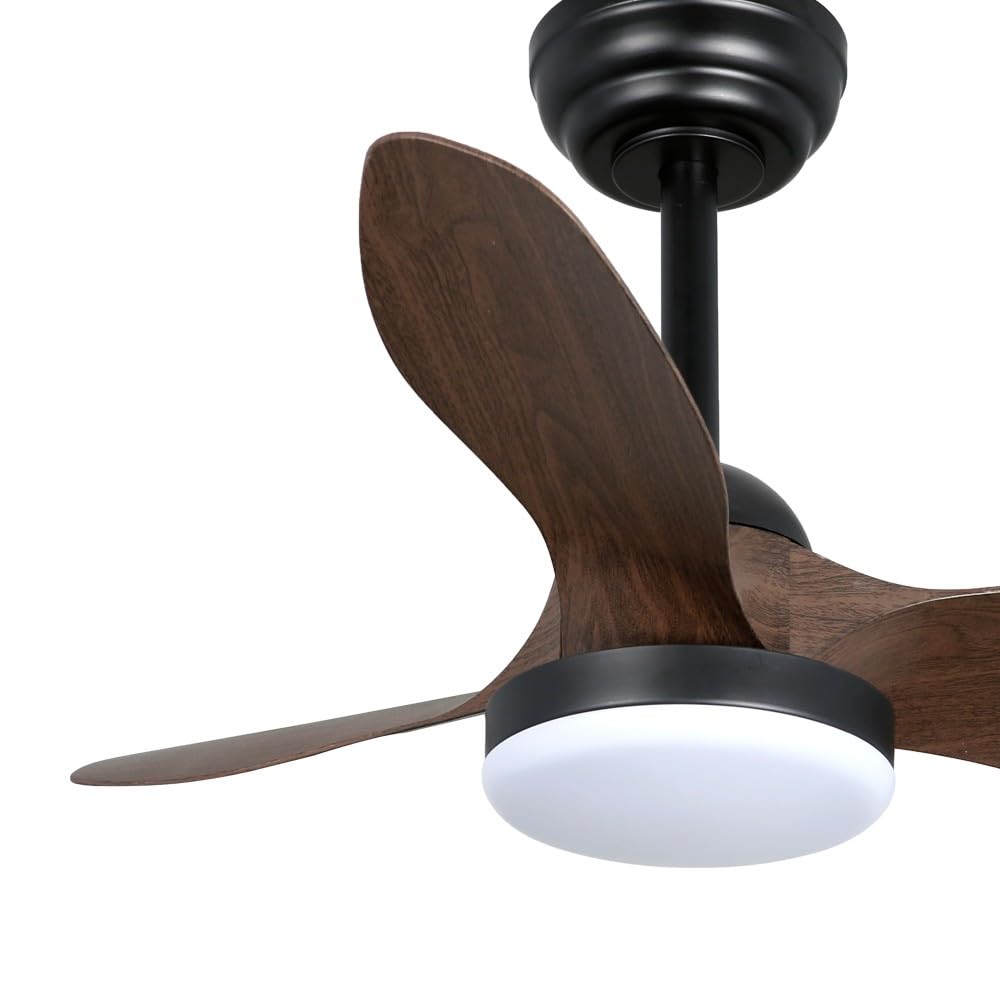 wonderlamp - Ventilador de techo pequeño ø80cm LED Cavil Mini S Negro+Madera, Intensidad de luz regulable con mando, Ventilador con motor DC silencioso