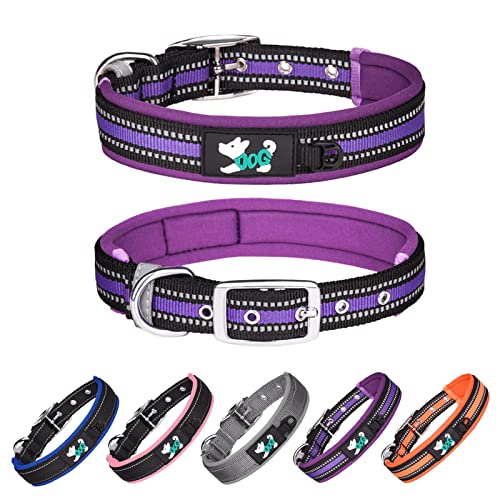 The Best Reflective Dog Collar 10 Dahaiwua Heavy Duty Dog Collar,Ultra Soft Padded Reflective Dog Collar ...