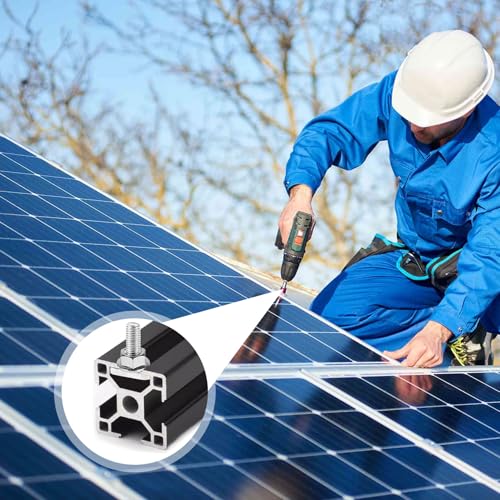 Forbabe 20 Stück Hammerkopfschrauben M10x25mm, Edelstahl T Schrauben und Flanschmuttern M10 für PV Solar Montageschienen Photovoltaik Gewächshaus Schrauben (10mm)