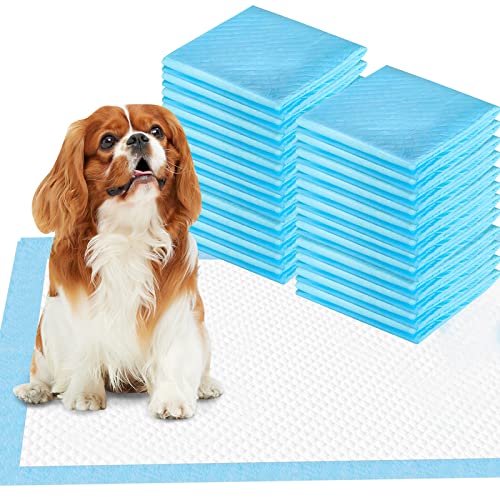 Apprentissage de La propreté pour Chien Ultra Absorbant Tapis de Dressage pour Animaux de Compagnie Tapis Éducateurs pour Chiot et Chat 60 x 45 cm, Lot de 50 Cover