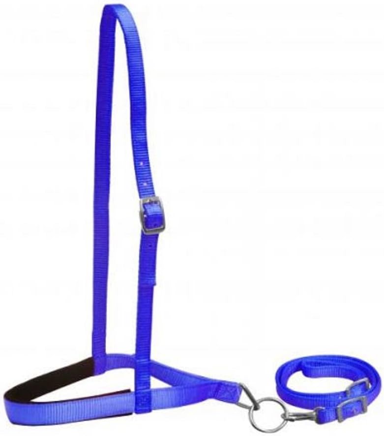 Showman PONY Sized BLUE Premium Nylon Padded Adjustable Noseband Tie Down