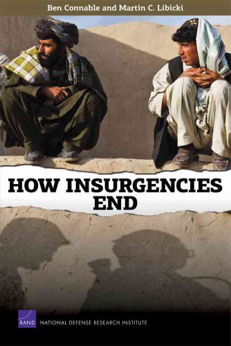 How Insurgencies End view 2