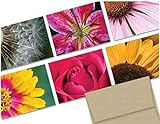 Flowers 36 Note Cards for $9.99 with 6 Different Images Including Yellow Envelopes.