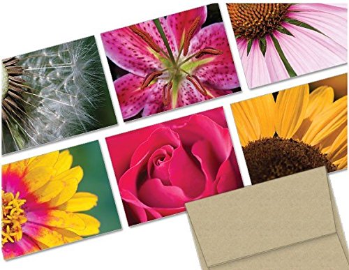 Note Card Cafe All Occasion Greeting Cards with Kraft Envelopes | 36 Pack | Assorted Flowers Design | Blank Inside, Glossy Finish | for Greeting Cards, Occasions, Birthdays