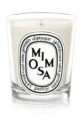 Mini Candle Mimosa 70g