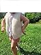 Merino Wool Babyweste aus Merinowolle, 100% natürlich, 4-5 Jahre, Weste Wollweste für ein Kind