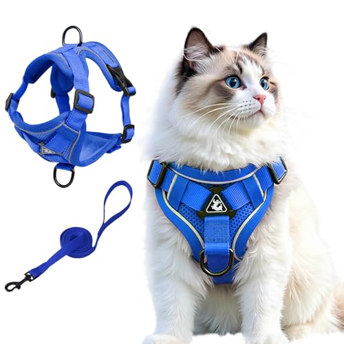 Arnés gato chaleco antitirones y ajustable con correa azul klein 2