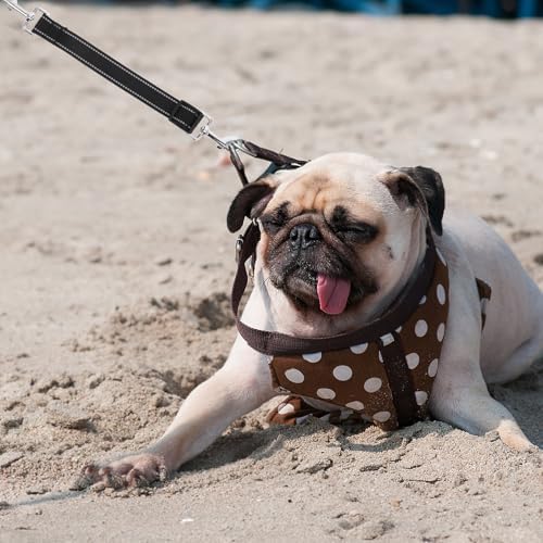 SOPOTUTU Heavy Duty Extendable Dog Leash with Double Hook Design and Reflective Material, Sturdy Pp and Zinc Alloy Construction, for Large Dogs Running and Training in Open Spaces - 5