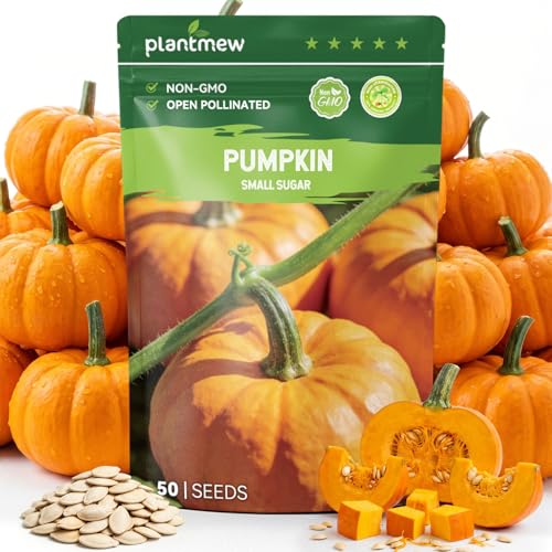 PLANTMEW 50 Heirloom Small Sugar Pumpkin Seeds for Planting Sweet Pie Pumpkin Compact Vines High Germination Ideal for Home Garden & Container