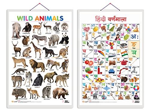 Pack of 2 Wild Animals and Hindi Varnamala Educational charts with Big font and Dust resistant Lamination | 300 GSM Recyclable Charts