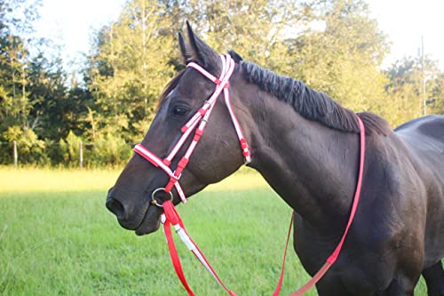 Tack Shack Of Ocala Nylon Race Reins, Race Reins, Nylon Reins, Reins For Horses, Nylon Reins For Horses, Buckle End Reins, Loop End Reins #TOP3