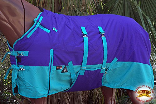 Hilason 1200D Winter Waterproof Horse Blanket Belly Wrap Purple - 76 Inches | Horse Blanket | Horse Blankets For Winter Waterproof | Horse Turnout Blanket | Horse Turnout #TOP2