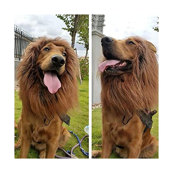 Dog lion mane - halloween realistic & funny lion mane for dogs - complementary lion mane for dog costumes - lion wig for medium to large sized dogs lion mane wig for dogs - image 3