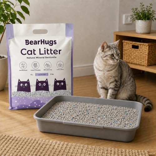 Image of BearHugs Bentonite Cat Litter - Lavender Perfect for Cat (Pack of 1, 5KG)