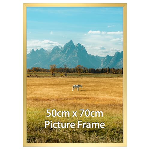 Vasemouh Bilderrahmen 50x70 cm 1 Stück Bilderrahmen in Gold geeignet für 70x50 cm Fotos Poster und Kunstwerke passend zur Wandmontage in Hoch- und Querformat