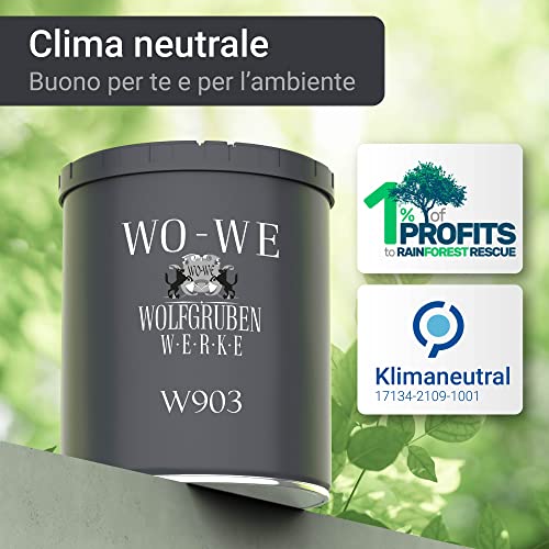 WO-WE Pittura per termosifoni in ghisa vernice