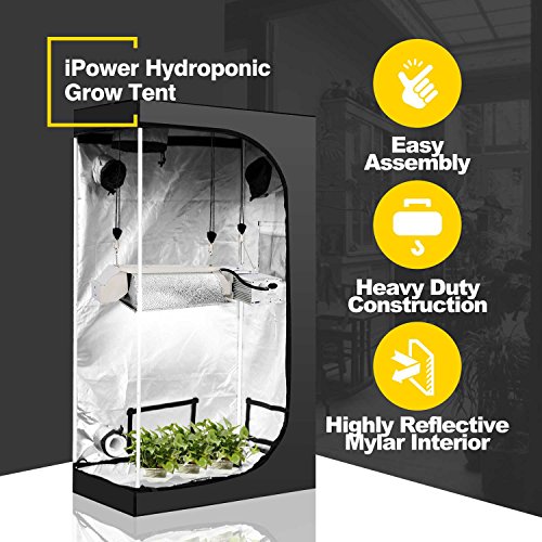 iPower 36x20x62 Grow Tent