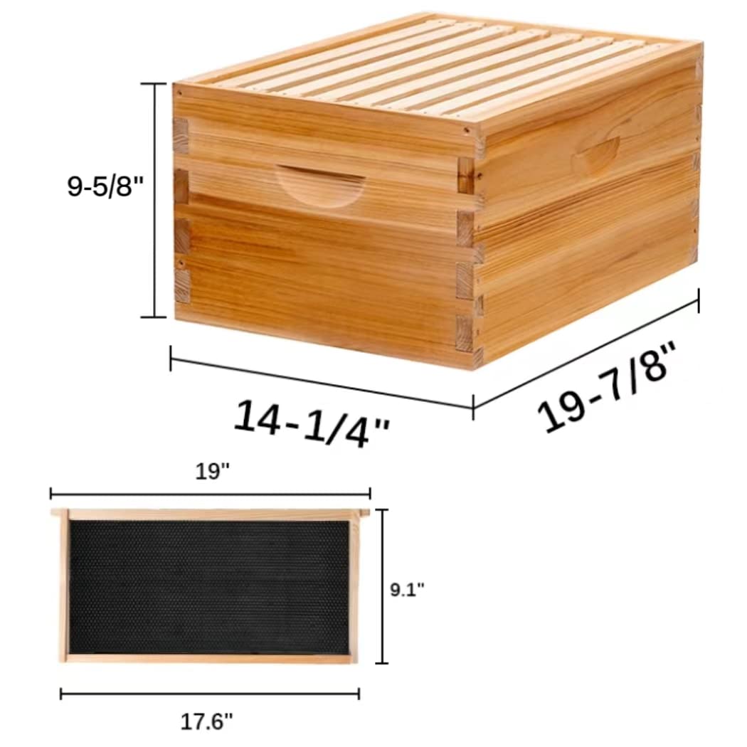 Maybee Langstroth Box mit 8 Holzrahmen und gewachstem Fundament, 100% Bienenwachs