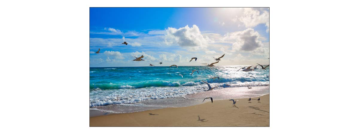 Muralo Fototapete Vlies Strand, Meer, Wellen, Himmel, XXL - 240x360 cm | Fantasievolle Tapete, hochauflösender Druck - ideal für Wohnzimmer und Schlafzimmer, Urlaubsfeeling für jeden Tag