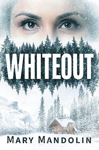 Whiteout view 2