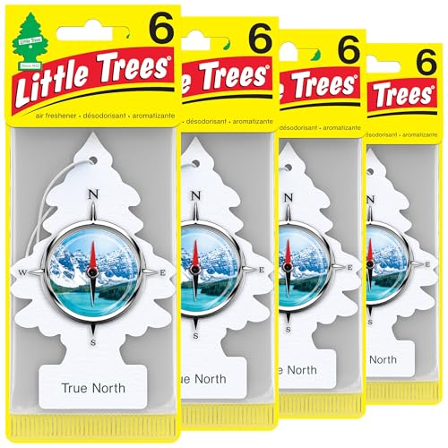 LITTLE TREES Air Fresheners Car Air Freshener. Hanging Tree Provi...