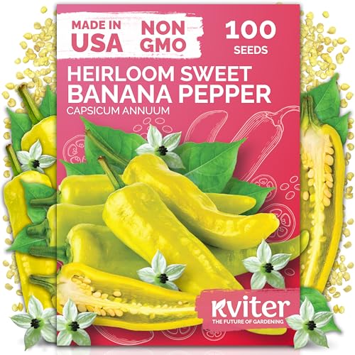 KVITER 100 Sweet Banana Pepper Seeds for Planting (Capsicum Annuum) Yellow Bell Pepper Seed Packets Non GMO Heirloom Vegetable Seeds for Planting Indoor Garden & Outdoor Containers