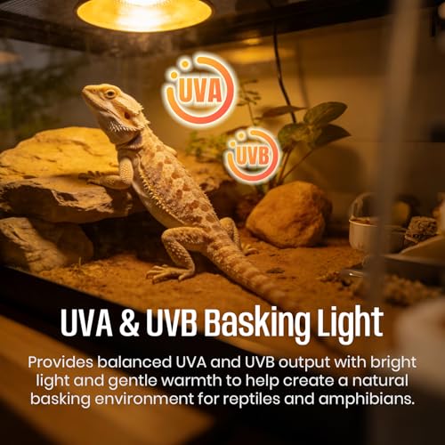 Image of CALPALMY 4-Pack 50W UVA+UVB Bulbs | Heat and Light for Reptiles and Amphibian Tanks, Terrariums and Cages | Works with Various Lamp Fixtures