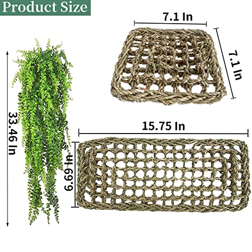 Image of Seagrass Hammock for Bearded Dragon,Large Reptile Hammock with Suction Cups Lizard Lounger Bed Jungle Climber Vines Chameleon Terrarium Habitat Decor for Bearded Dragons,Geckos,Snakes