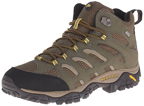 Merrell Men's Moab Mid Waterproof Hiking Boot,Earth,9.5 M US