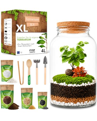 PYEF CRAFTS Flaschengarten Komplettset XL für Ökosystem im Glas - 4L Terrarium Pflanzen für Biotop Im Glas - Biosphäre Terrarium Set - Kit Ohne Pflanze (Flaschengarten Groß 4L)