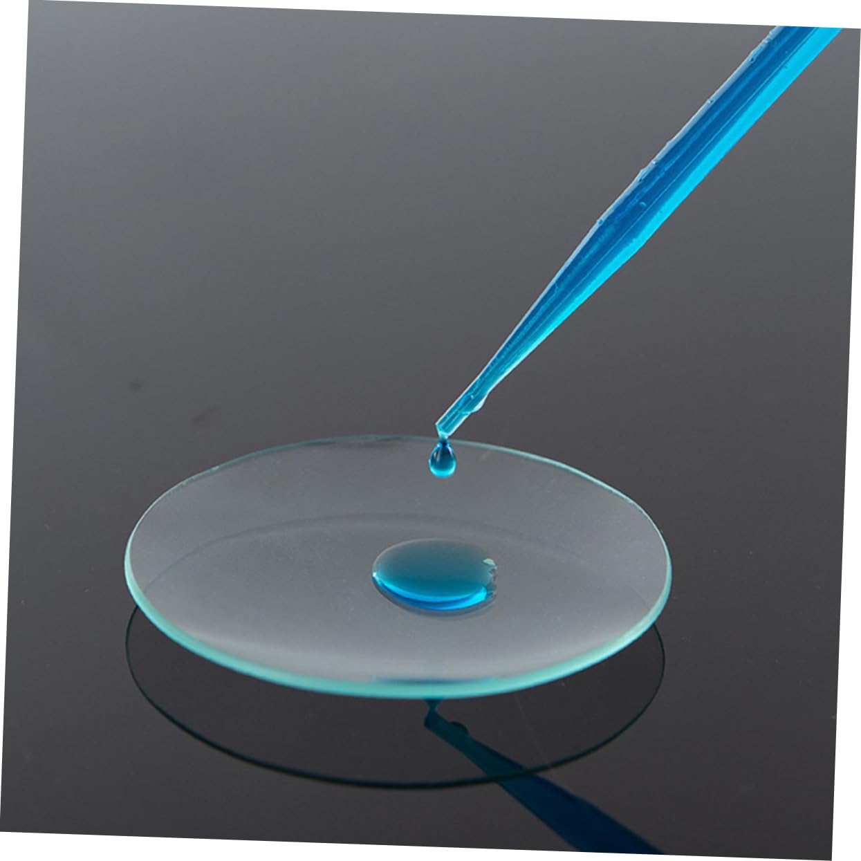 SOLUSTRE 10pezzi Vetri da Orologio per Uso Didattico Vetri Trasparenti per Esperimenti Coperchi in Vetro per Becher Robusti e Resistenti alla Deformazione Adatti per Laboratori e Appassiona