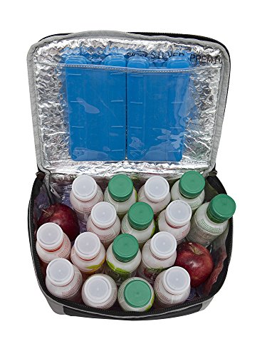 Image of BagsRUs Black Polyester 11 Liter 12 500ml Cans Portable Travel Chiller Cooler Bag with 2 Free ice Packs (CH104FBL)