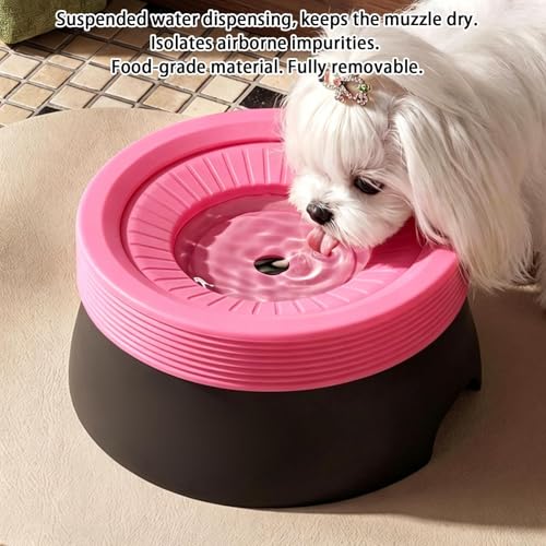 Gamelle d'eau pour chien anti-renversement - Distributeur eau chatons et chiots 600ml - 6