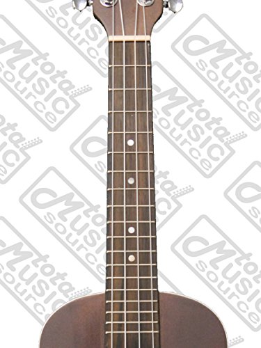 Kohala-AKAMAI-Concert-Ukulele-FREE-Gig-BagTMS-Polishing-Cloth-AK-C