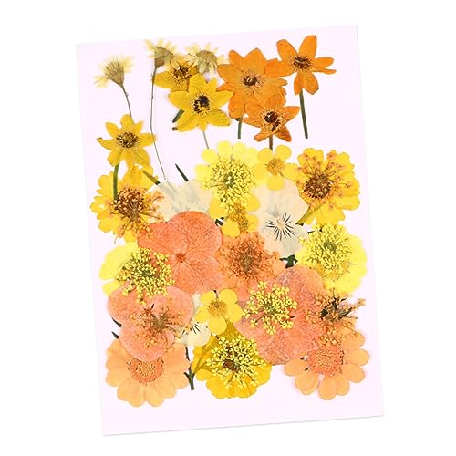Flores secas elegantes para decoración y manualidades miniatura 1