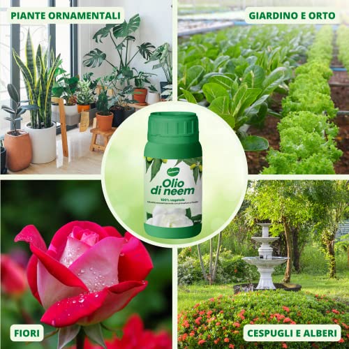 Gardemia Neem Olie voor Planten 100% Plantaardig Natuurlijk Afweermiddel Tegen Bladluizen Cochenille Spintmijt Muggen… - Image 4