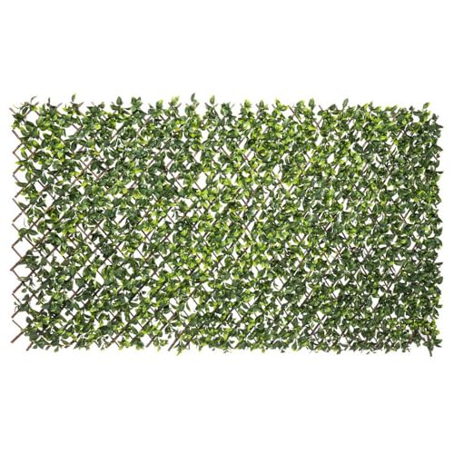LOLAhome Celosía Extensible con seto Artificial Premium Hiedra de 2x1 m | Realista y Natural, Alta Ocultación, Tratamiento UV, No inflamable, Transpirable | para Jardín, Balcón, Terraza o Piscina