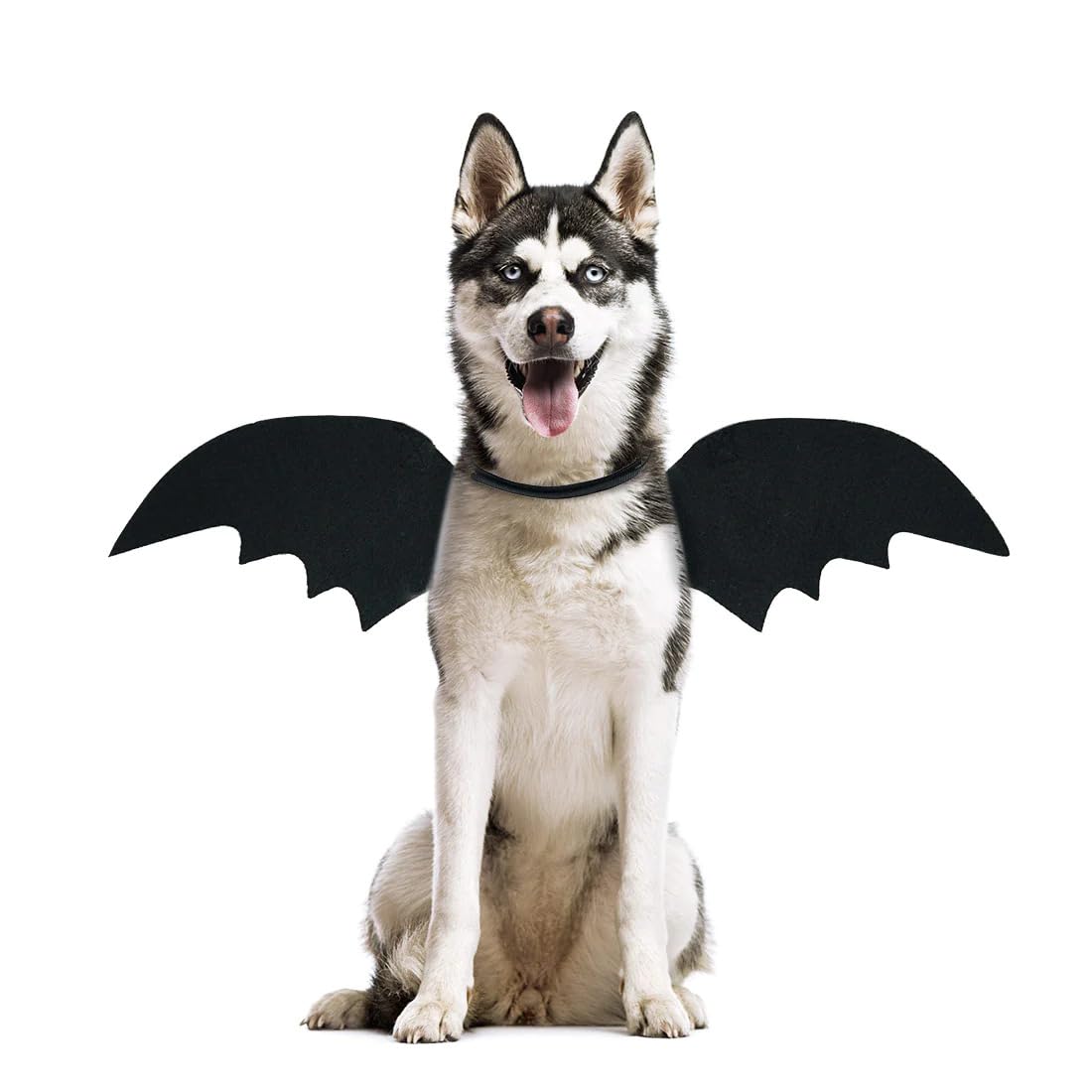 Halloween Costumes for Dogs, Bat Wings for Pets, Cute Apparel for Medium Dog