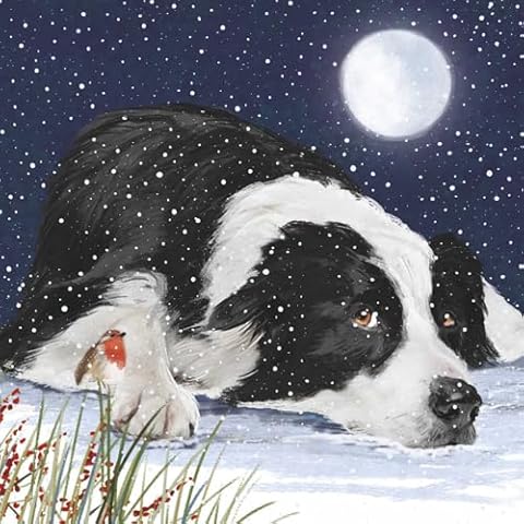 Marie Curie Collie Christmas Cards Pack Cover