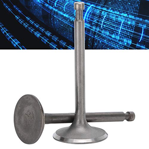 banapoy Válvulas de escape de admissão do gerador, válvula geradora de resistência à corrosão firme