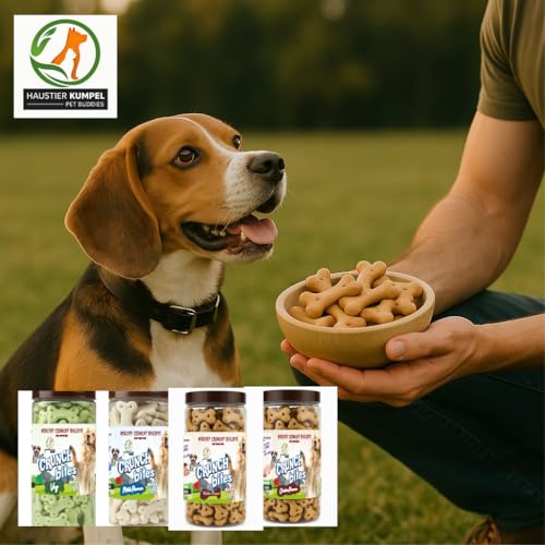 Image of Wheat-Free Milk Flavour Dog Biscuits - Crunchy Bites Treats for Puppies, Adults & Senior Dogs - Healthy Crunchy Biscuits for All Breeds and Sizes (800g)