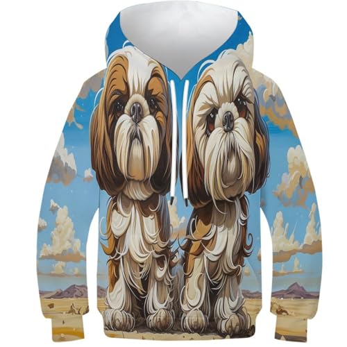 Sweat à capuche imprimé 3D enfant Schzon idée cadeau hiver ado